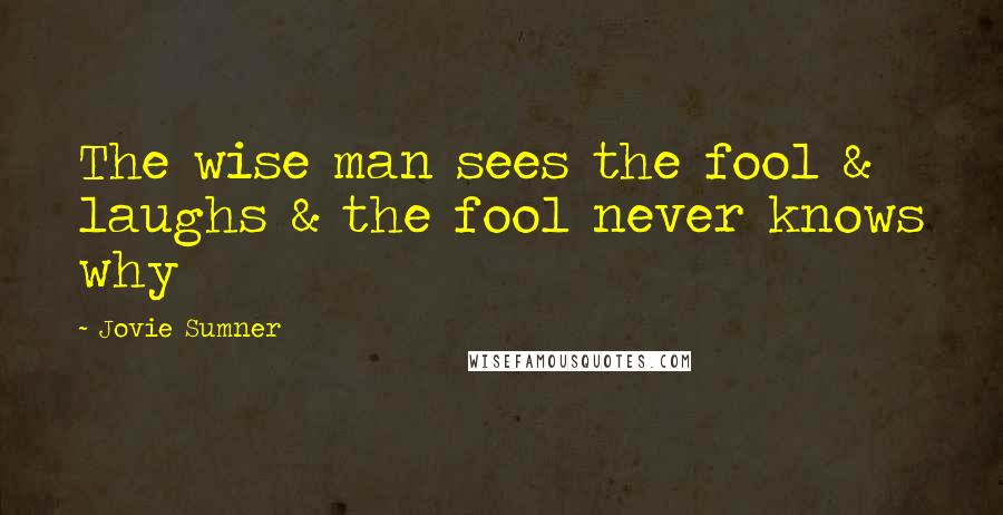 Jovie Sumner Quotes: The wise man sees the fool & laughs & the fool never knows why