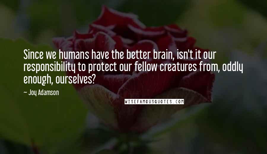 Joy Adamson Quotes: Since we humans have the better brain, isn't it our responsibility to protect our fellow creatures from, oddly enough, ourselves?