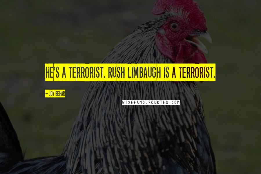 Joy Behar Quotes: He's a terrorist. Rush Limbaugh is a terrorist.