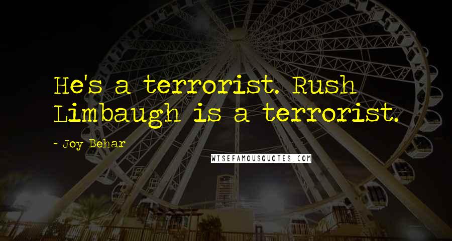 Joy Behar Quotes: He's a terrorist. Rush Limbaugh is a terrorist.