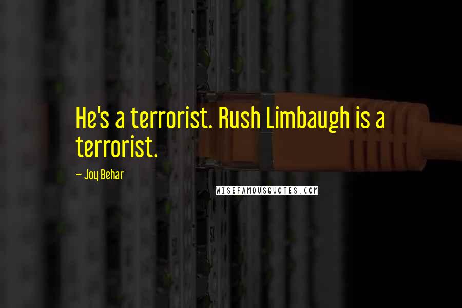 Joy Behar Quotes: He's a terrorist. Rush Limbaugh is a terrorist.