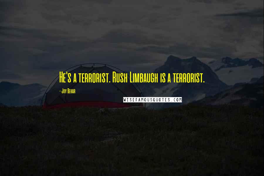 Joy Behar Quotes: He's a terrorist. Rush Limbaugh is a terrorist.