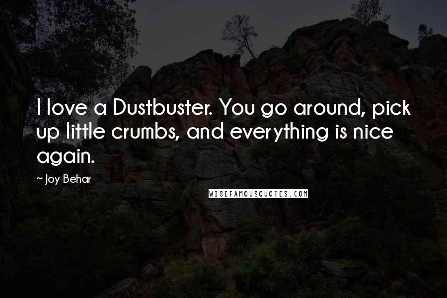 Joy Behar Quotes: I love a Dustbuster. You go around, pick up little crumbs, and everything is nice again.