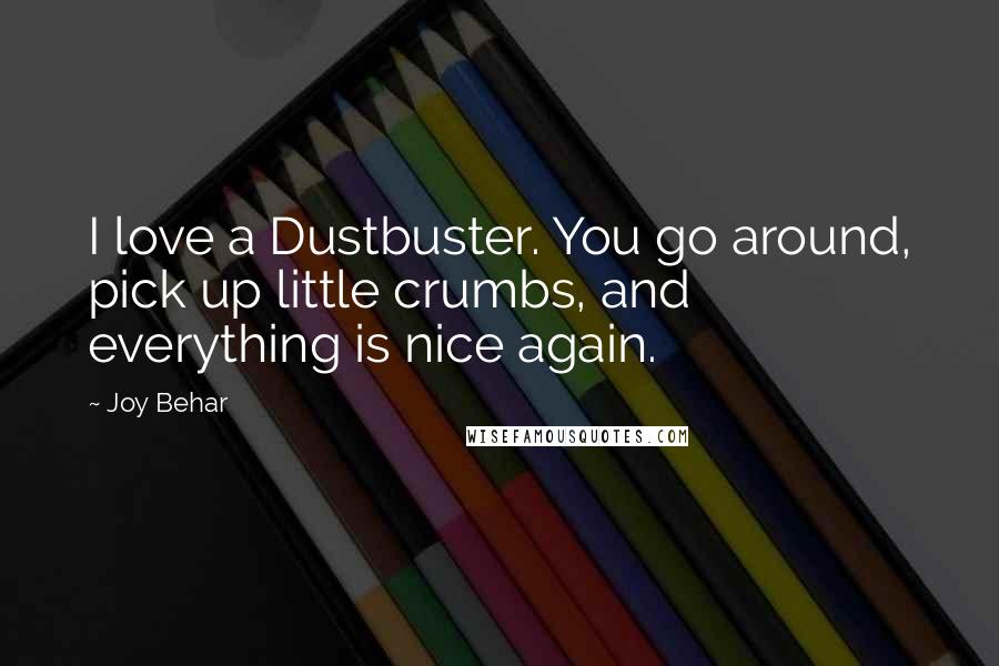 Joy Behar Quotes: I love a Dustbuster. You go around, pick up little crumbs, and everything is nice again.