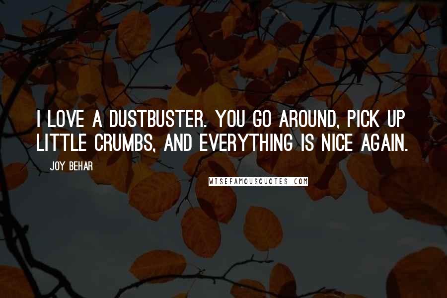 Joy Behar Quotes: I love a Dustbuster. You go around, pick up little crumbs, and everything is nice again.