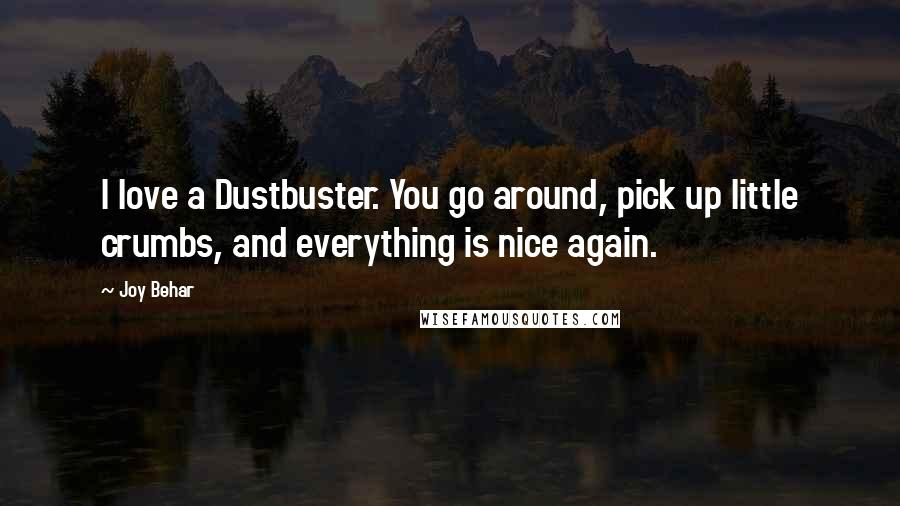 Joy Behar Quotes: I love a Dustbuster. You go around, pick up little crumbs, and everything is nice again.