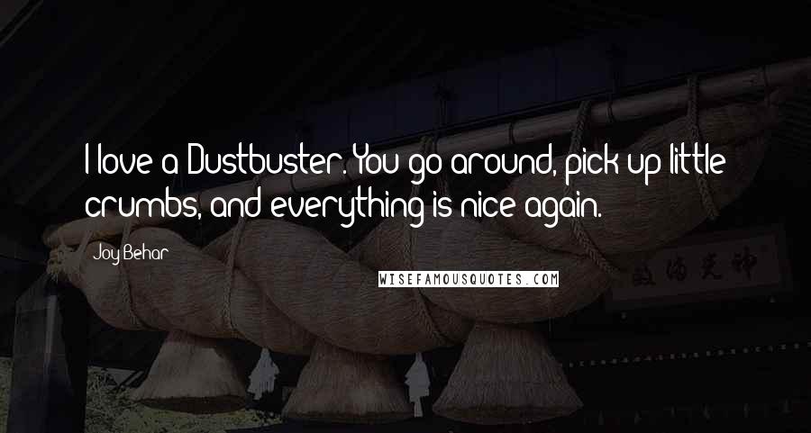 Joy Behar Quotes: I love a Dustbuster. You go around, pick up little crumbs, and everything is nice again.