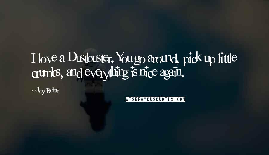 Joy Behar Quotes: I love a Dustbuster. You go around, pick up little crumbs, and everything is nice again.