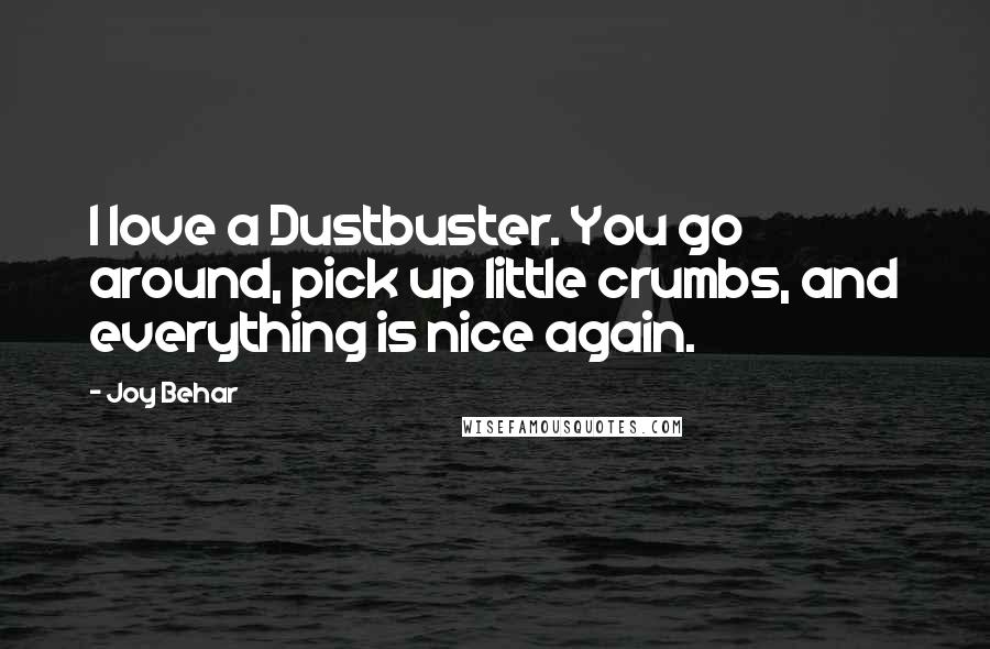 Joy Behar Quotes: I love a Dustbuster. You go around, pick up little crumbs, and everything is nice again.