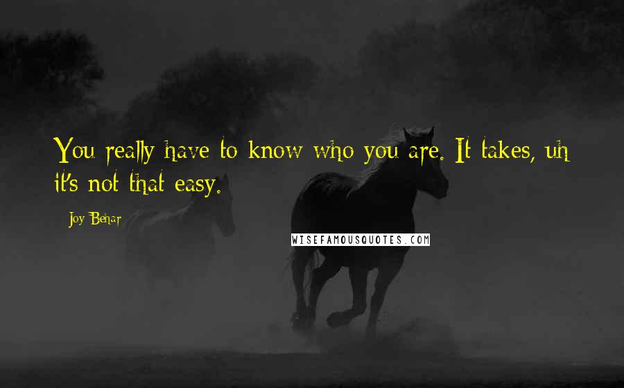 Joy Behar Quotes: You really have to know who you are. It takes, uh it's not that easy.