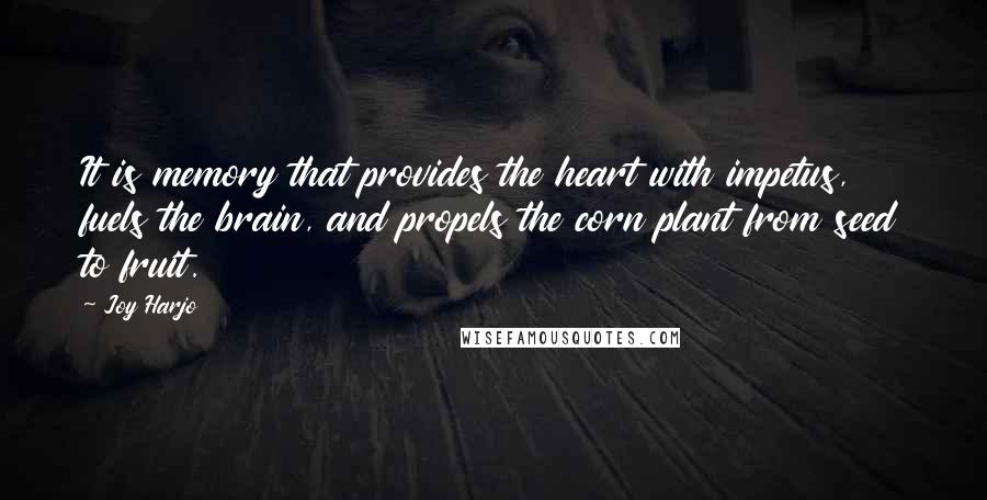 Joy Harjo Quotes: It is memory that provides the heart with impetus, fuels the brain, and propels the corn plant from seed to fruit.