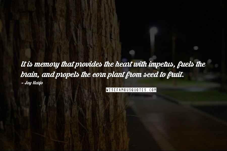 Joy Harjo Quotes: It is memory that provides the heart with impetus, fuels the brain, and propels the corn plant from seed to fruit.