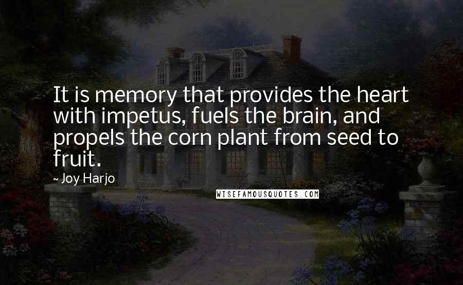 Joy Harjo Quotes: It is memory that provides the heart with impetus, fuels the brain, and propels the corn plant from seed to fruit.