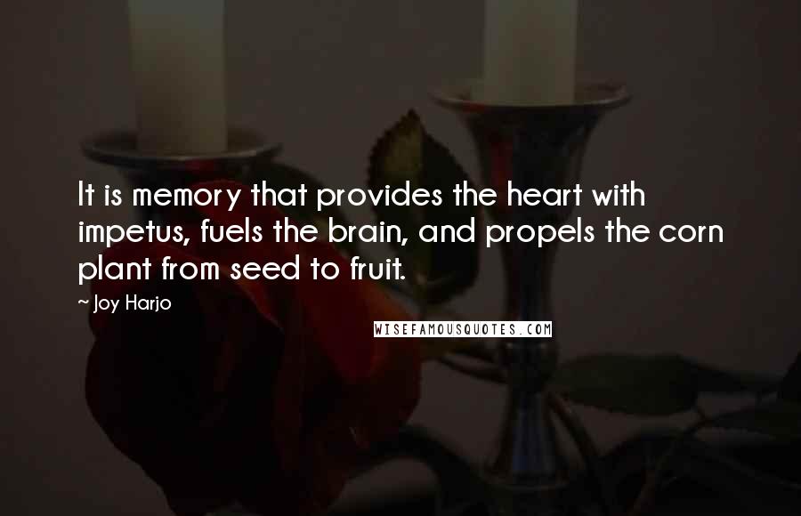 Joy Harjo Quotes: It is memory that provides the heart with impetus, fuels the brain, and propels the corn plant from seed to fruit.