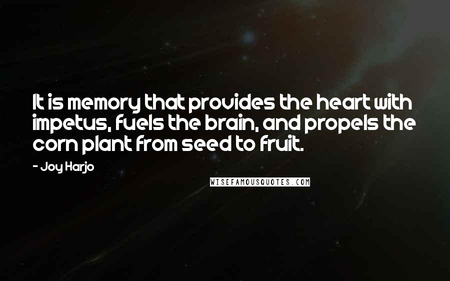 Joy Harjo Quotes: It is memory that provides the heart with impetus, fuels the brain, and propels the corn plant from seed to fruit.