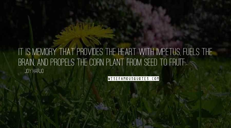 Joy Harjo Quotes: It is memory that provides the heart with impetus, fuels the brain, and propels the corn plant from seed to fruit.