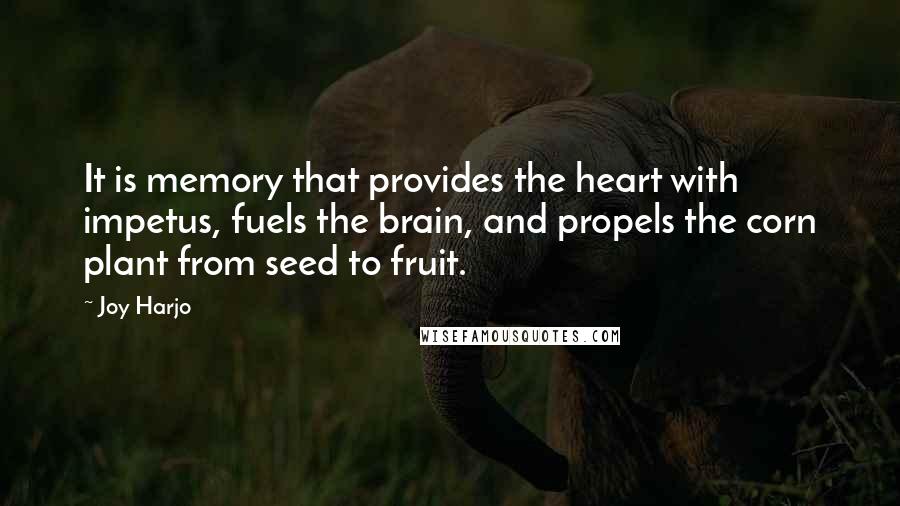 Joy Harjo Quotes: It is memory that provides the heart with impetus, fuels the brain, and propels the corn plant from seed to fruit.
