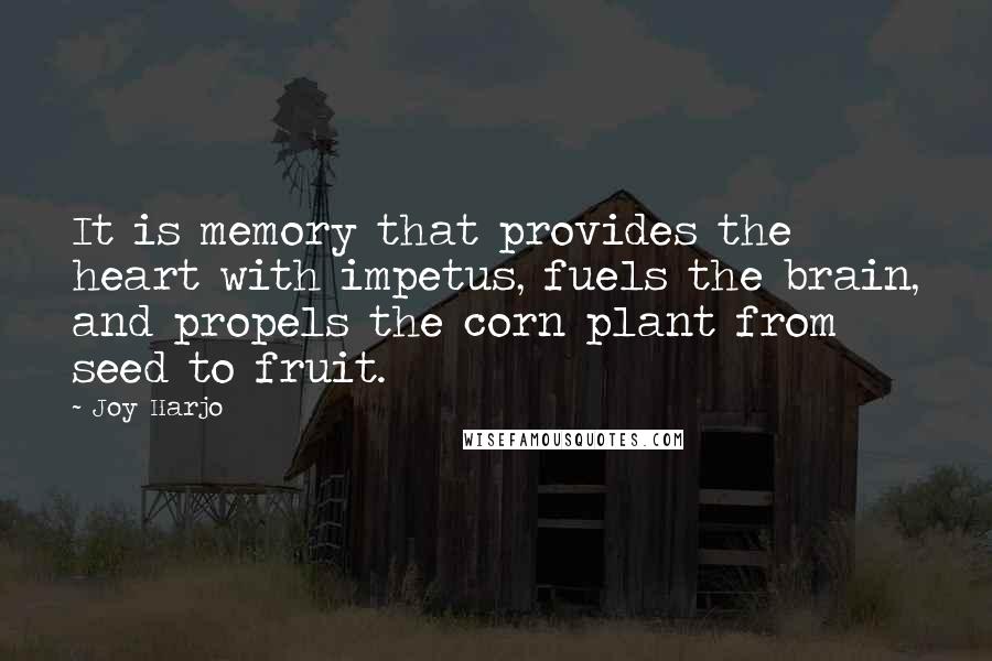Joy Harjo Quotes: It is memory that provides the heart with impetus, fuels the brain, and propels the corn plant from seed to fruit.