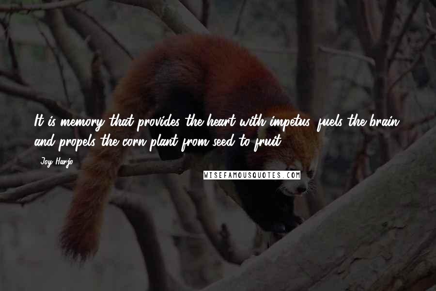 Joy Harjo Quotes: It is memory that provides the heart with impetus, fuels the brain, and propels the corn plant from seed to fruit.
