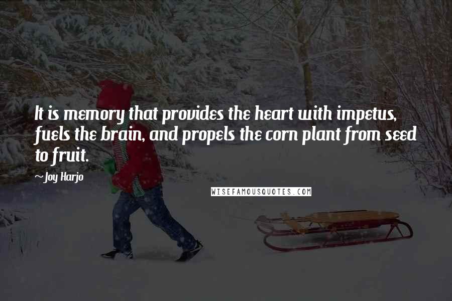 Joy Harjo Quotes: It is memory that provides the heart with impetus, fuels the brain, and propels the corn plant from seed to fruit.