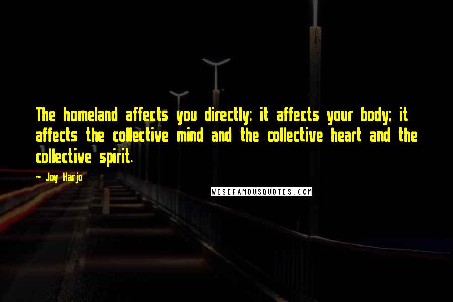 Joy Harjo Quotes: The homeland affects you directly: it affects your body; it affects the collective mind and the collective heart and the collective spirit.