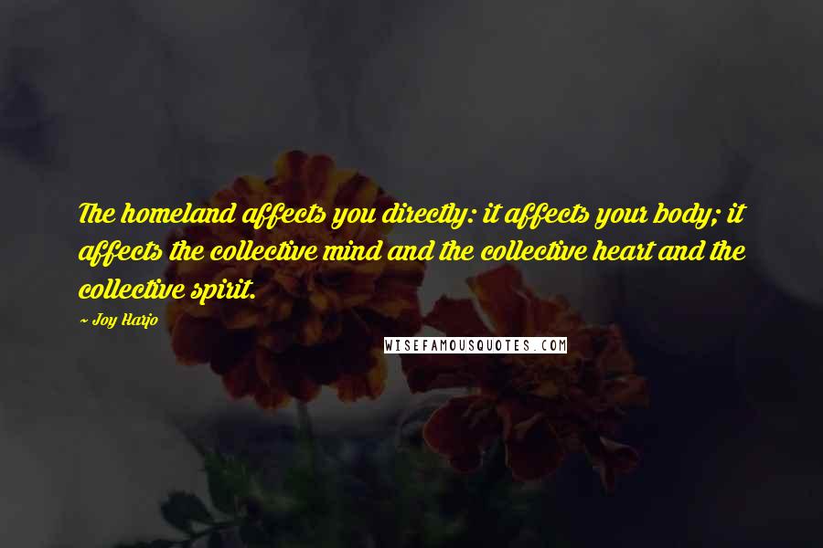 Joy Harjo Quotes: The homeland affects you directly: it affects your body; it affects the collective mind and the collective heart and the collective spirit.