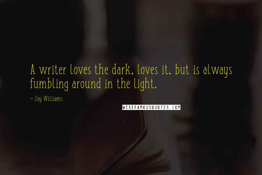 Joy Williams Quotes: A writer loves the dark, loves it, but is always fumbling around in the light.