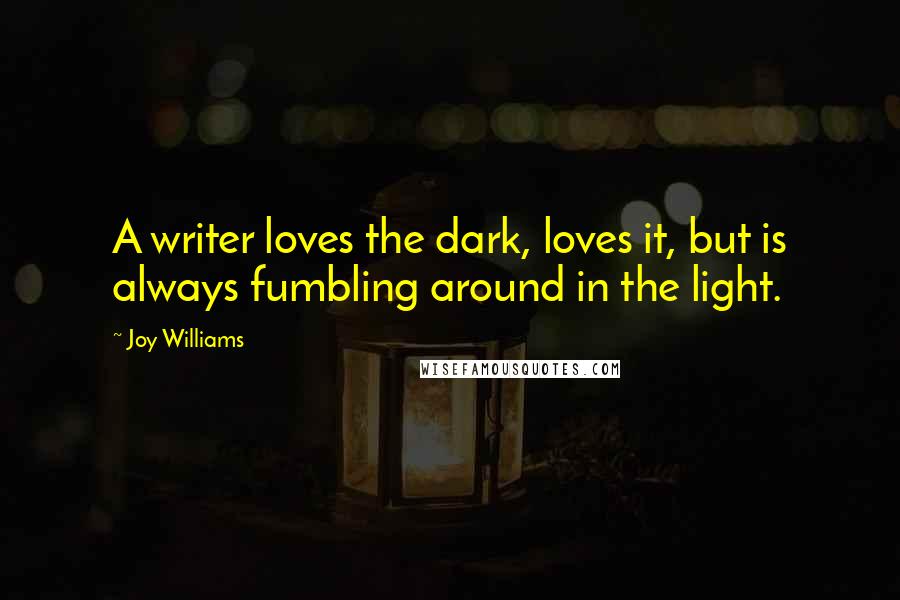 Joy Williams Quotes: A writer loves the dark, loves it, but is always fumbling around in the light.