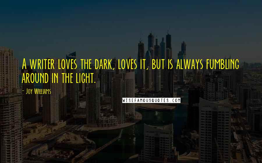 Joy Williams Quotes: A writer loves the dark, loves it, but is always fumbling around in the light.