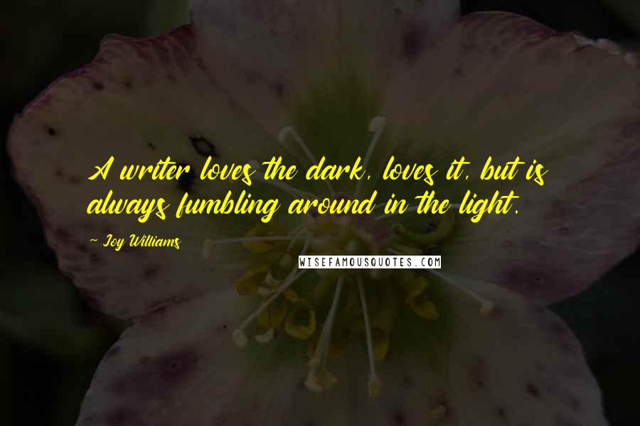 Joy Williams Quotes: A writer loves the dark, loves it, but is always fumbling around in the light.