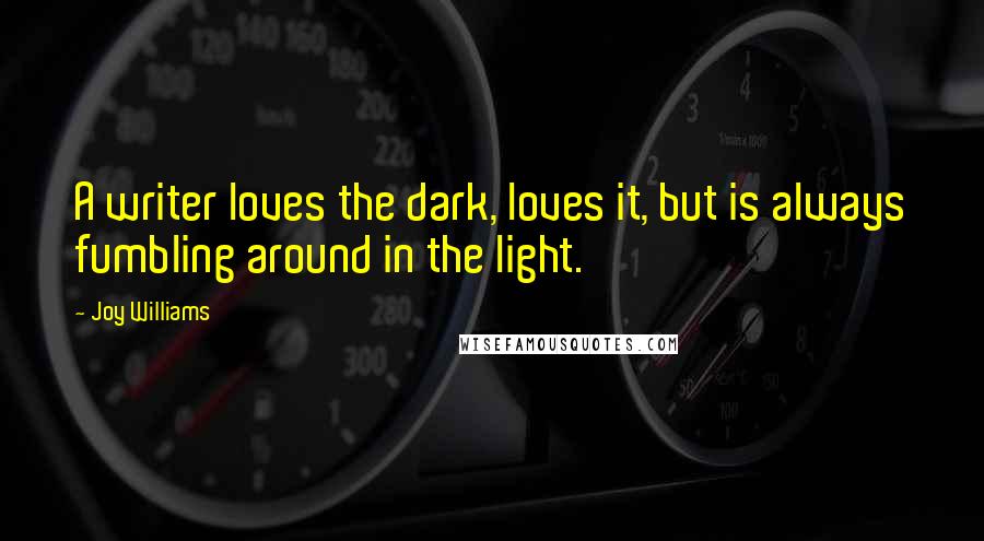 Joy Williams Quotes: A writer loves the dark, loves it, but is always fumbling around in the light.