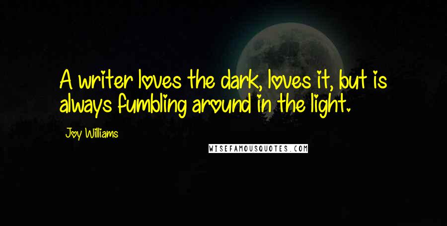 Joy Williams Quotes: A writer loves the dark, loves it, but is always fumbling around in the light.