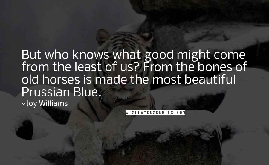 Joy Williams Quotes: But who knows what good might come from the least of us? From the bones of old horses is made the most beautiful Prussian Blue.