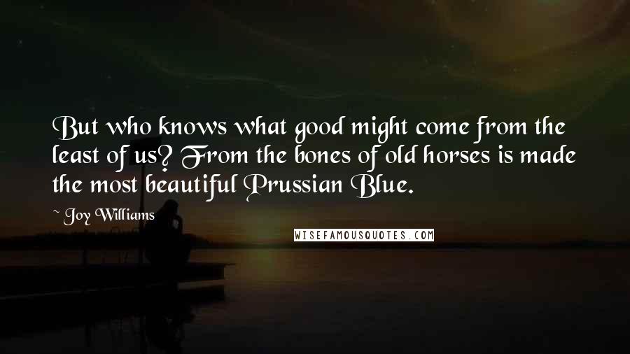 Joy Williams Quotes: But who knows what good might come from the least of us? From the bones of old horses is made the most beautiful Prussian Blue.