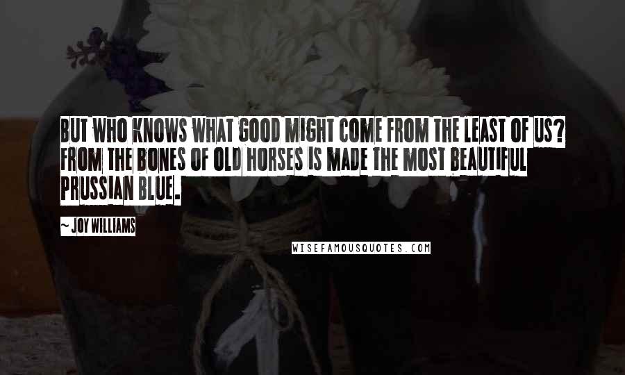 Joy Williams Quotes: But who knows what good might come from the least of us? From the bones of old horses is made the most beautiful Prussian Blue.