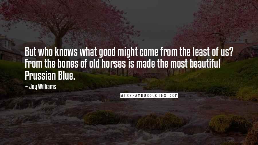 Joy Williams Quotes: But who knows what good might come from the least of us? From the bones of old horses is made the most beautiful Prussian Blue.