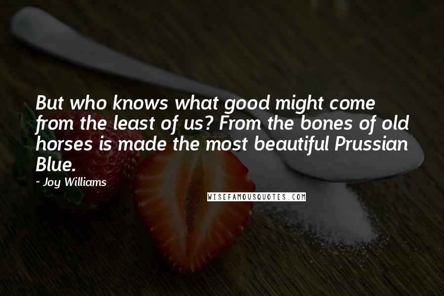 Joy Williams Quotes: But who knows what good might come from the least of us? From the bones of old horses is made the most beautiful Prussian Blue.