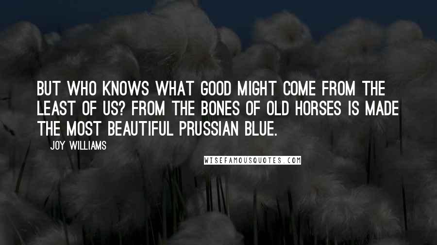 Joy Williams Quotes: But who knows what good might come from the least of us? From the bones of old horses is made the most beautiful Prussian Blue.