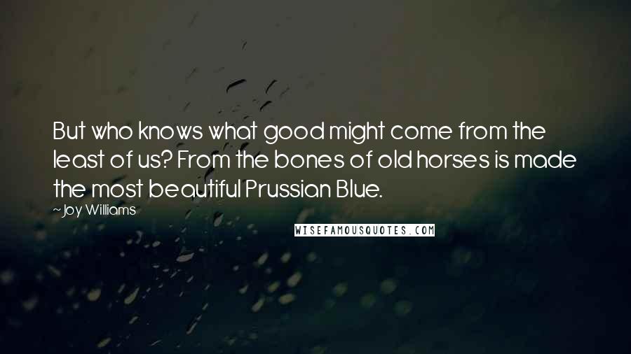 Joy Williams Quotes: But who knows what good might come from the least of us? From the bones of old horses is made the most beautiful Prussian Blue.