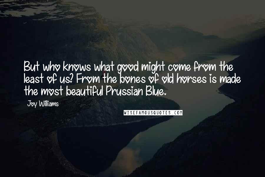 Joy Williams Quotes: But who knows what good might come from the least of us? From the bones of old horses is made the most beautiful Prussian Blue.