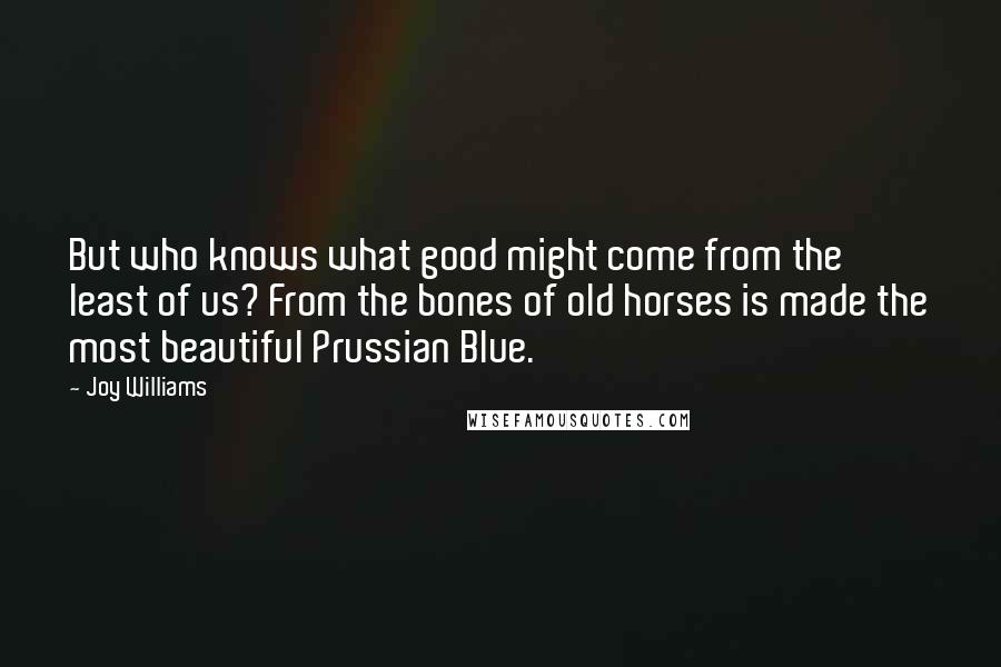Joy Williams Quotes: But who knows what good might come from the least of us? From the bones of old horses is made the most beautiful Prussian Blue.