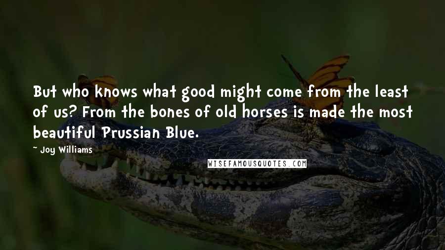 Joy Williams Quotes: But who knows what good might come from the least of us? From the bones of old horses is made the most beautiful Prussian Blue.