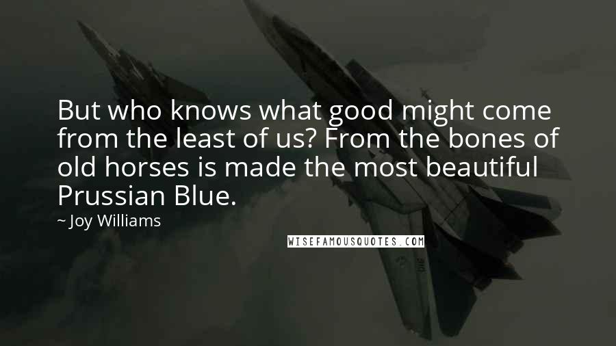 Joy Williams Quotes: But who knows what good might come from the least of us? From the bones of old horses is made the most beautiful Prussian Blue.