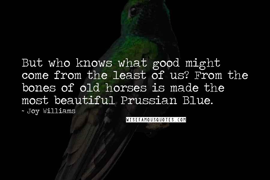 Joy Williams Quotes: But who knows what good might come from the least of us? From the bones of old horses is made the most beautiful Prussian Blue.