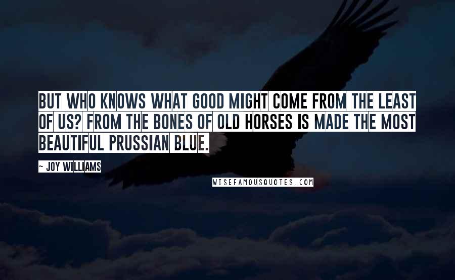 Joy Williams Quotes: But who knows what good might come from the least of us? From the bones of old horses is made the most beautiful Prussian Blue.