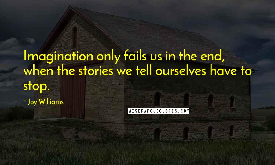 Joy Williams Quotes: Imagination only fails us in the end, when the stories we tell ourselves have to stop.
