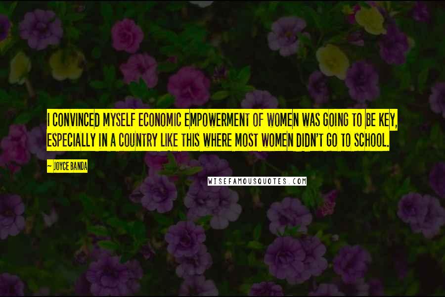Joyce Banda Quotes: I convinced myself economic empowerment of women was going to be key, especially in a country like this where most women didn't go to school.