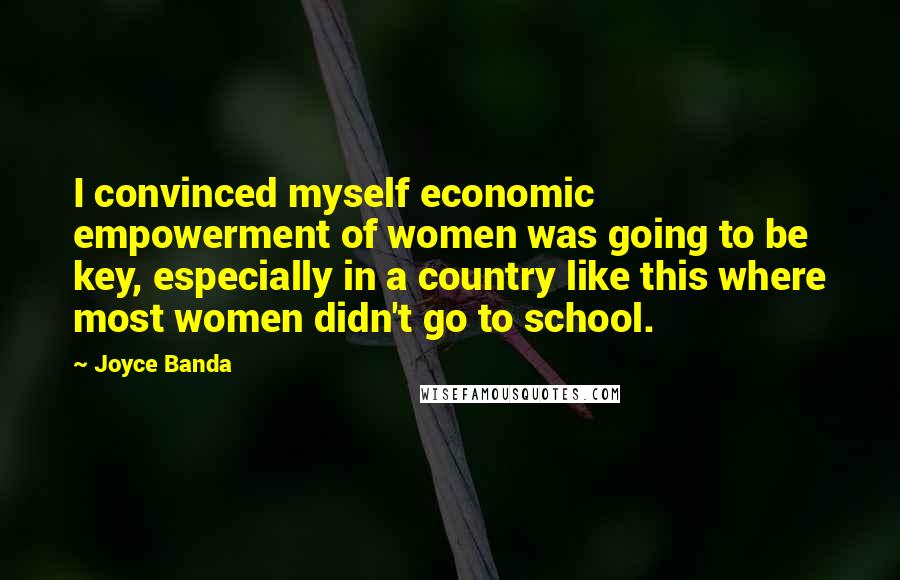 Joyce Banda Quotes: I convinced myself economic empowerment of women was going to be key, especially in a country like this where most women didn't go to school.
