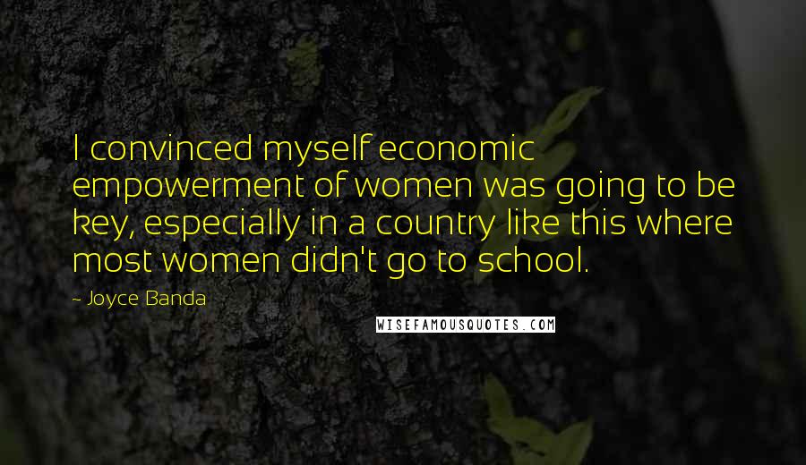 Joyce Banda Quotes: I convinced myself economic empowerment of women was going to be key, especially in a country like this where most women didn't go to school.