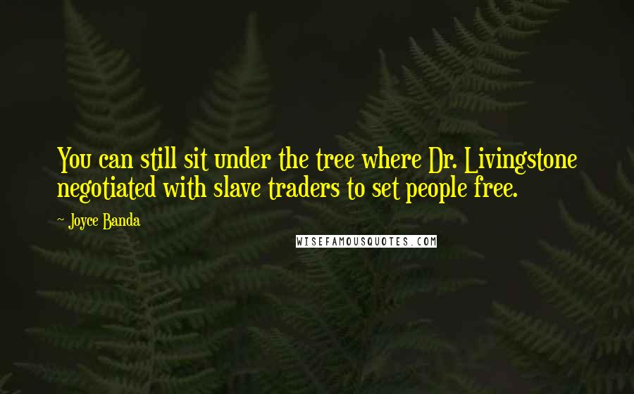 Joyce Banda Quotes: You can still sit under the tree where Dr. Livingstone negotiated with slave traders to set people free.